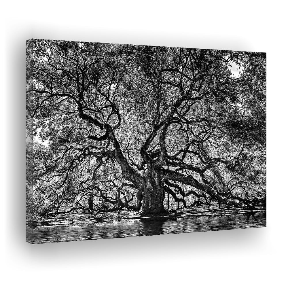 1000 Year Old Angel Oak Tree Canvas Print, Black and White Canvas, Cavas Print Wall Art Hom Decor
