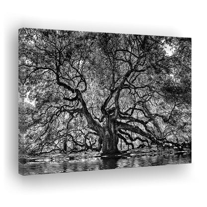 1000 Year Old Angel Oak Tree Canvas Print, Black and White Canvas, Cavas Print Wall Art Hom Decor