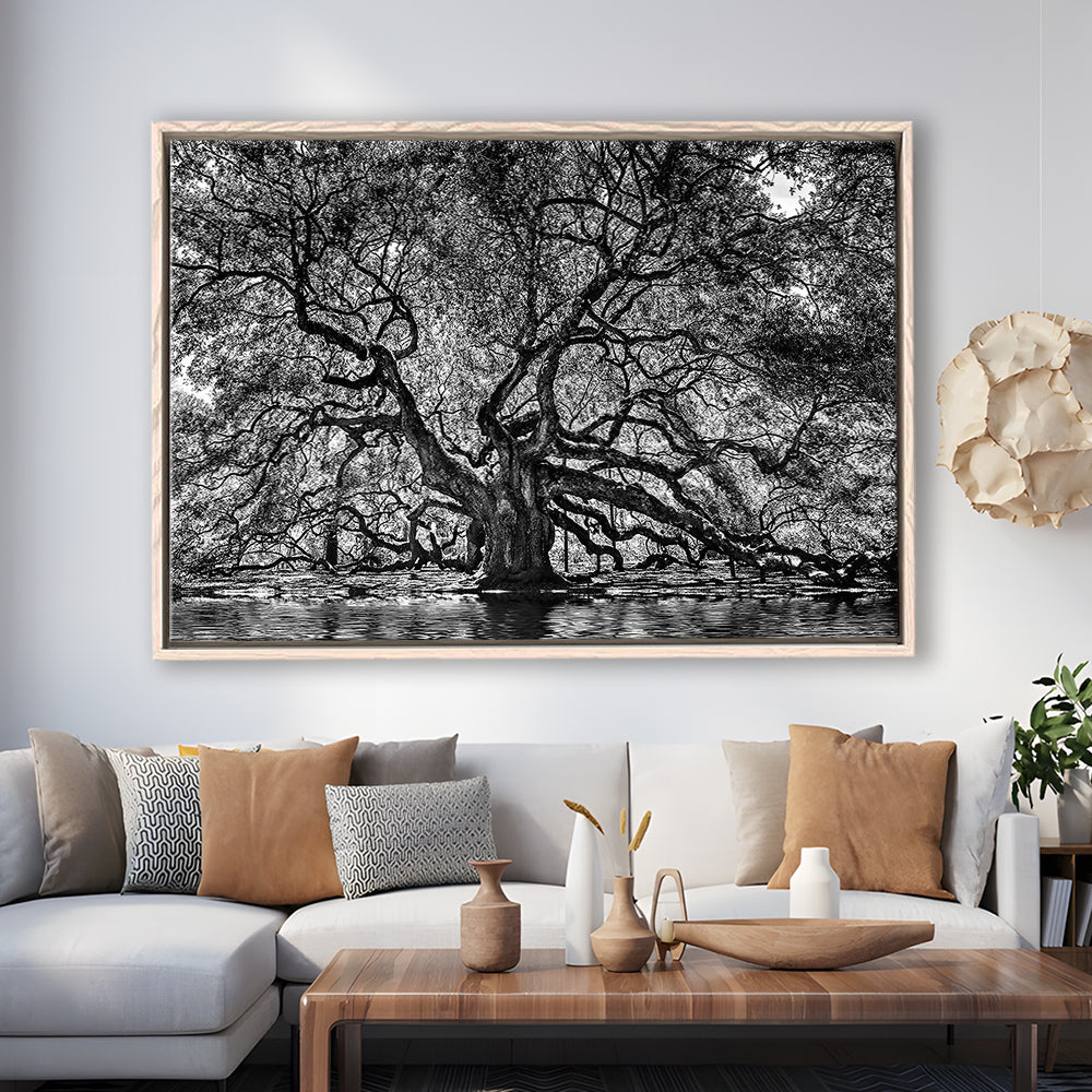 1000 Year Old Angel Oak Tree Canvas Print, Black And White Canvas, Framed Cavas Print, Floating Frame