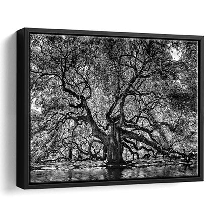 1000 Year Old Angel Oak Tree Canvas Print, Black And White Canvas, Framed Cavas Print, Floating Frame