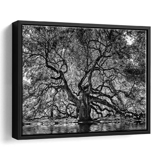 1000 Year Old Angel Oak Tree Canvas Print, Black And White Canvas, Framed Cavas Print, Floating Frame