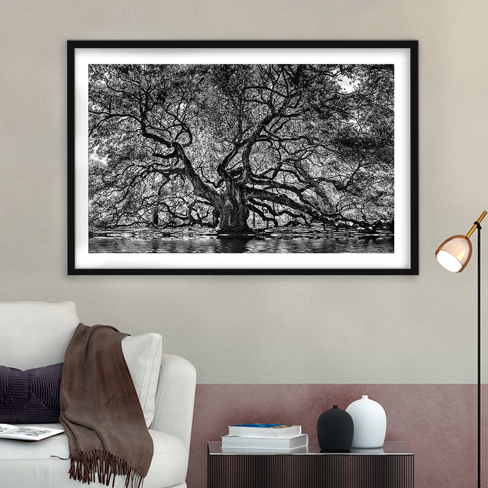 1000 Year Old Angel Oak Tree Art Print, Black And White, Framed Art Print White Border