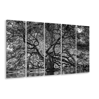 1000 Year Old Angel Oak Tree Canvas Print, Black and White Canvas, 5 Piece B Extra Large Cavas Print Wall Art Decor