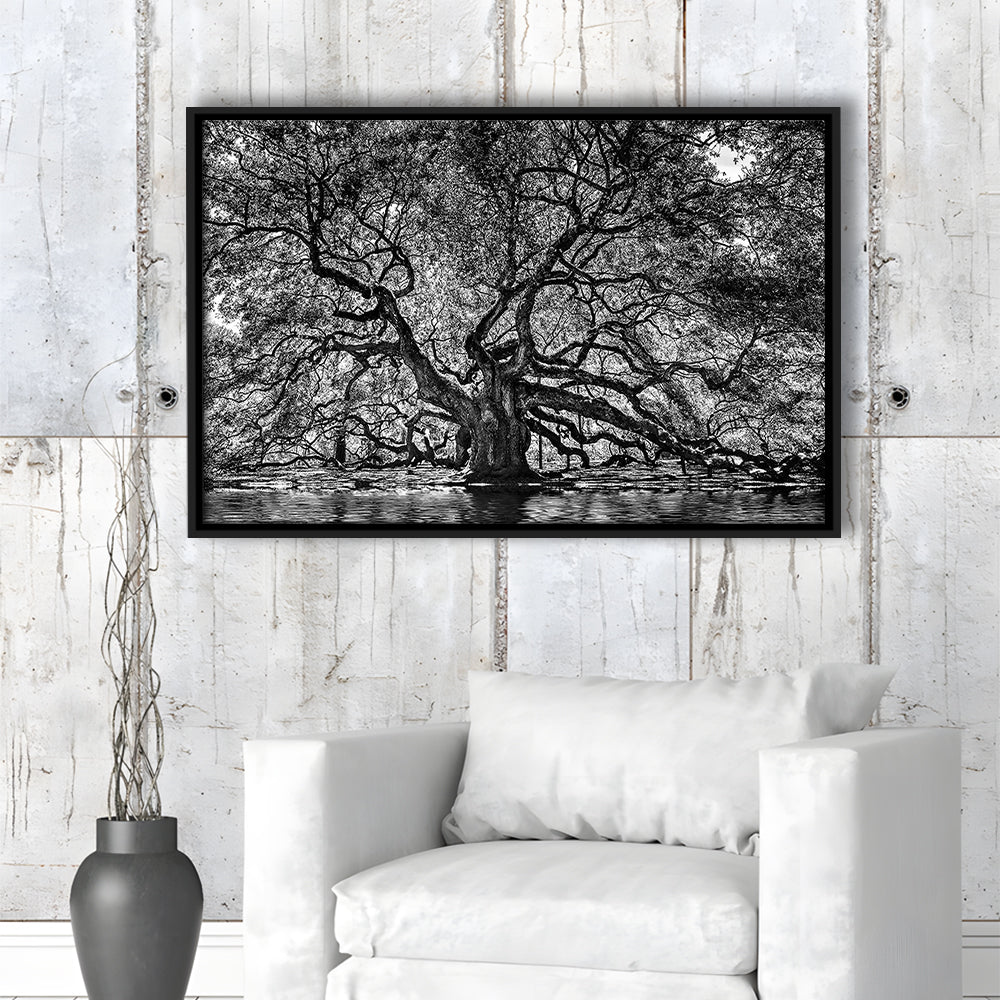 1000 Year Old Angel Oak Tree Canvas Print, Black And White Canvas, Framed Cavas Print, Floating Frame