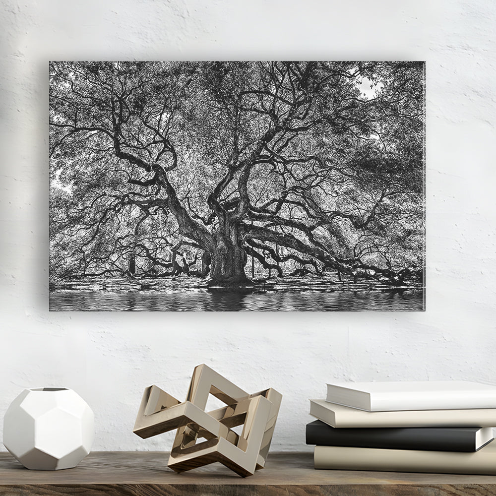 1000 Year Old Angel Oak Tree Canvas Print, Black and White Canvas, Cavas Print Wall Art Hom Decor