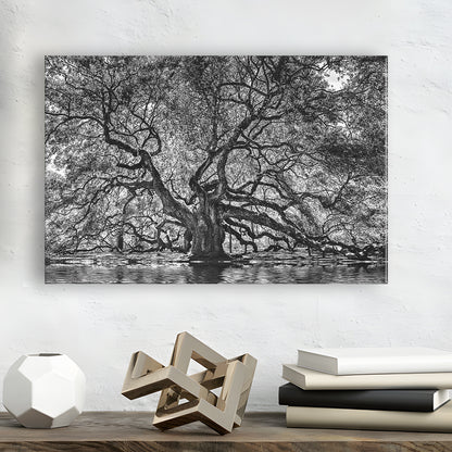1000 Year Old Angel Oak Tree Canvas Print, Black and White Canvas, Cavas Print Wall Art Hom Decor