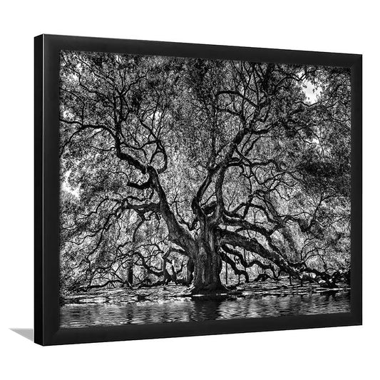 1000 Year Old Angel Oak Tree Art Prints, Black And White Art, Framed Art Print, Picture Framed