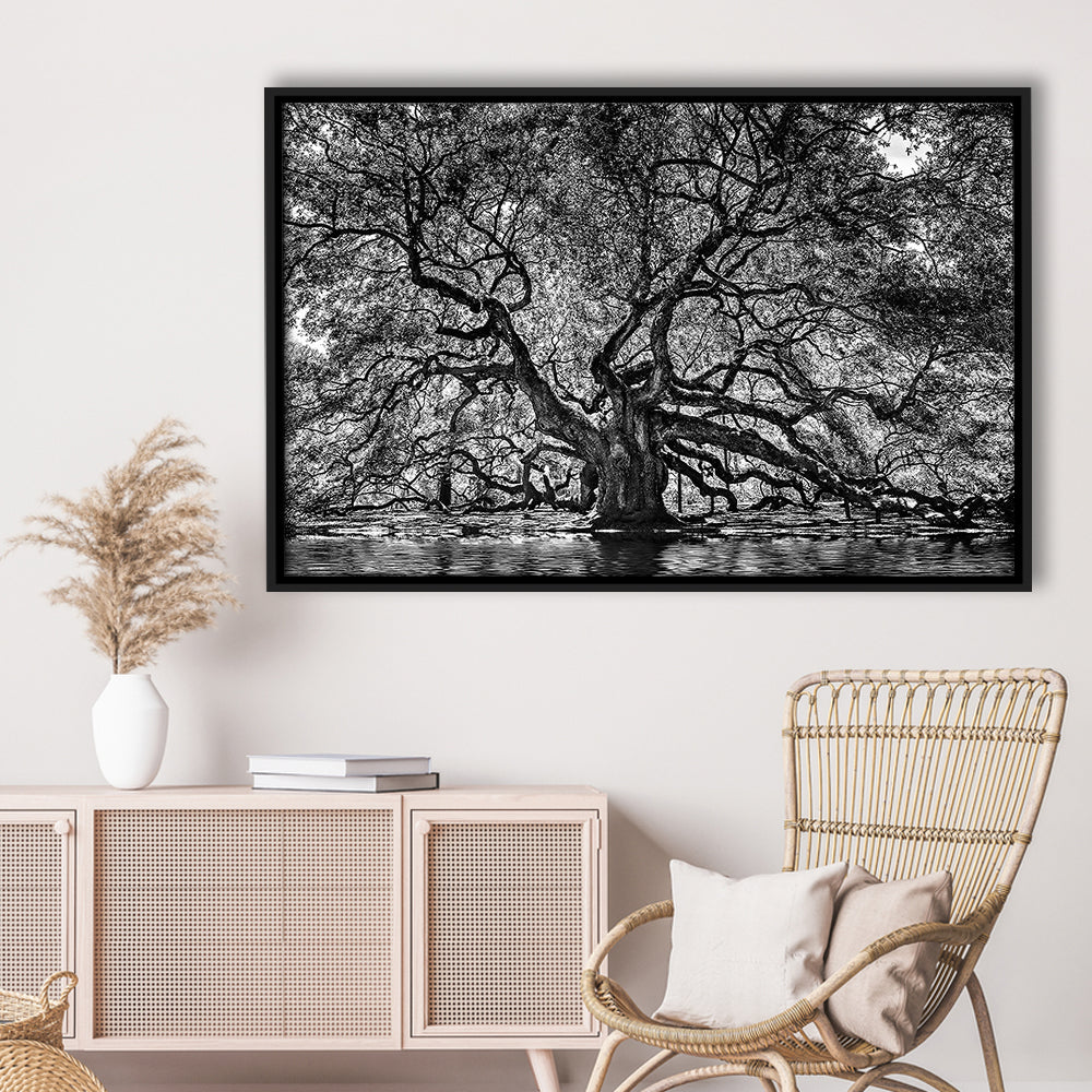 1000 Year Old Angel Oak Tree Canvas Print, Black And White Canvas, Framed Cavas Print, Floating Frame