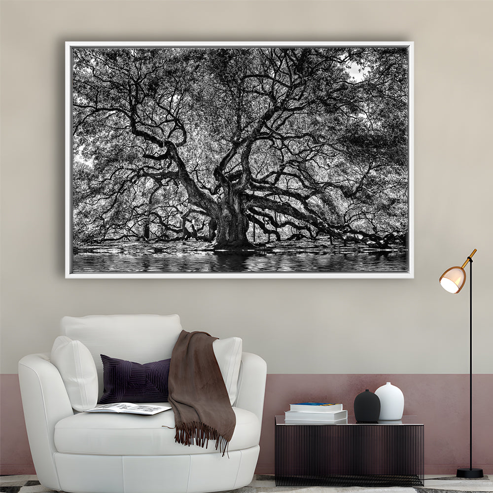 1000 Year Old Angel Oak Tree Canvas Print, Black And White Canvas, Framed Cavas Print, Floating Frame
