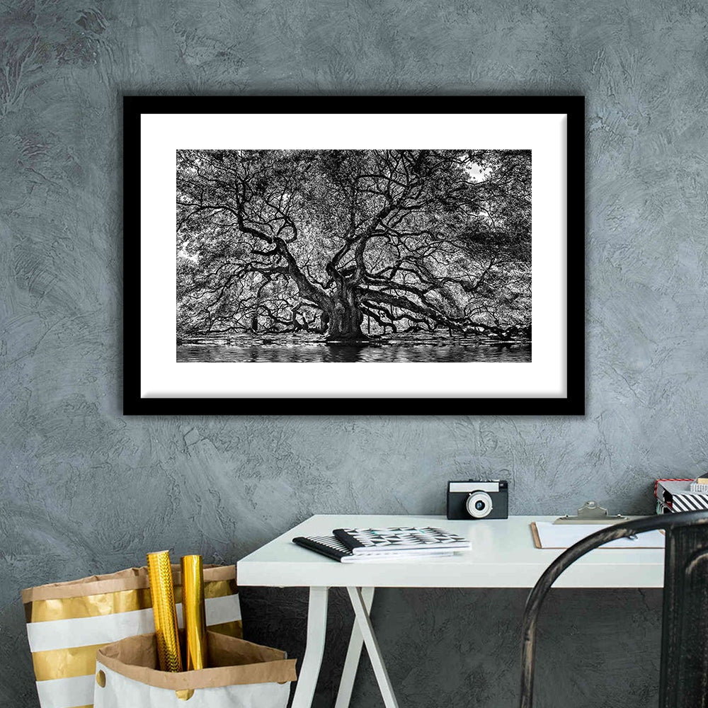 1000 Year Old Angel Oak Tree Art Print, Black And White, Framed Art Print White Border