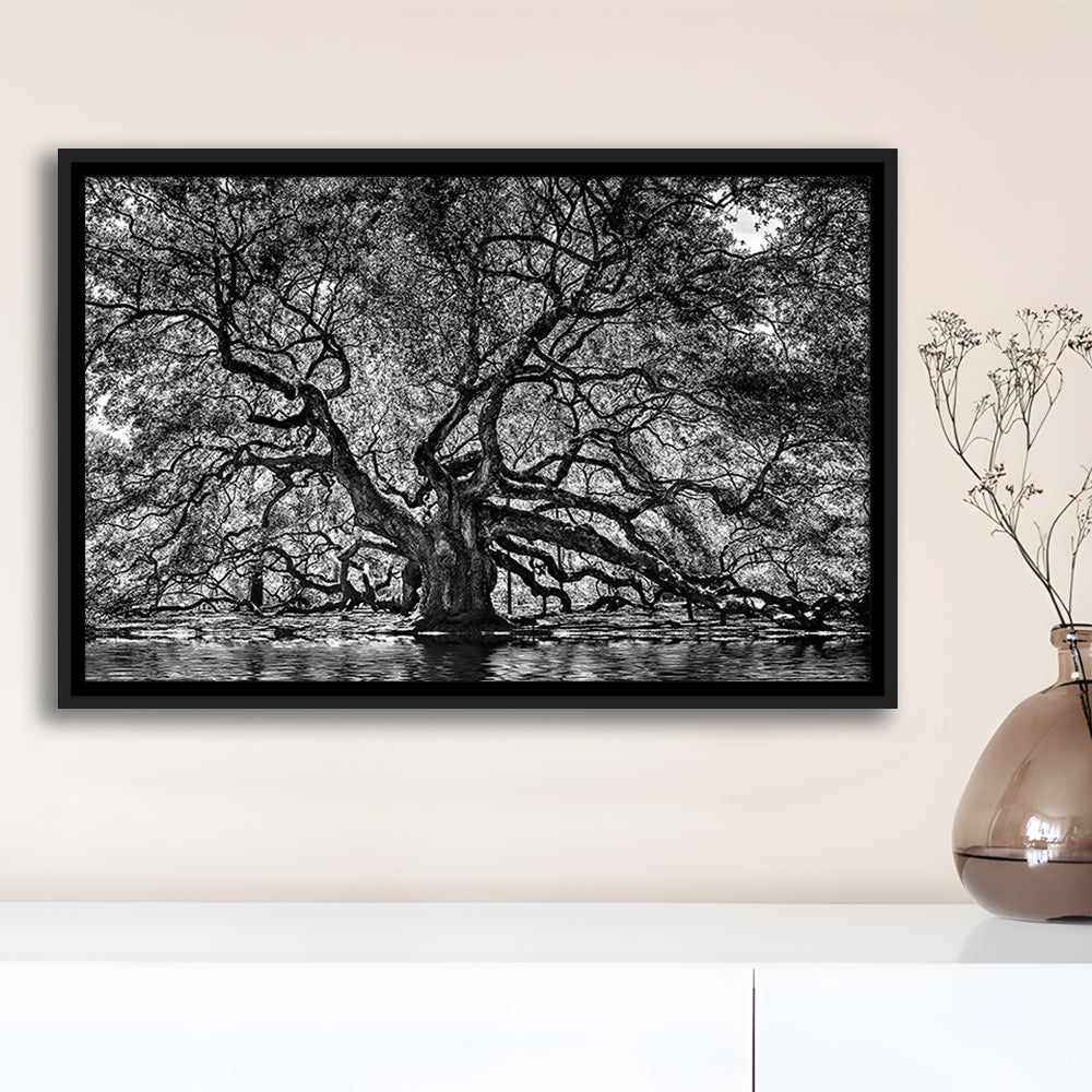1000 Year Old Angel Oak Tree Canvas Print, Black And White Canvas, Framed Cavas Print, Floating Frame