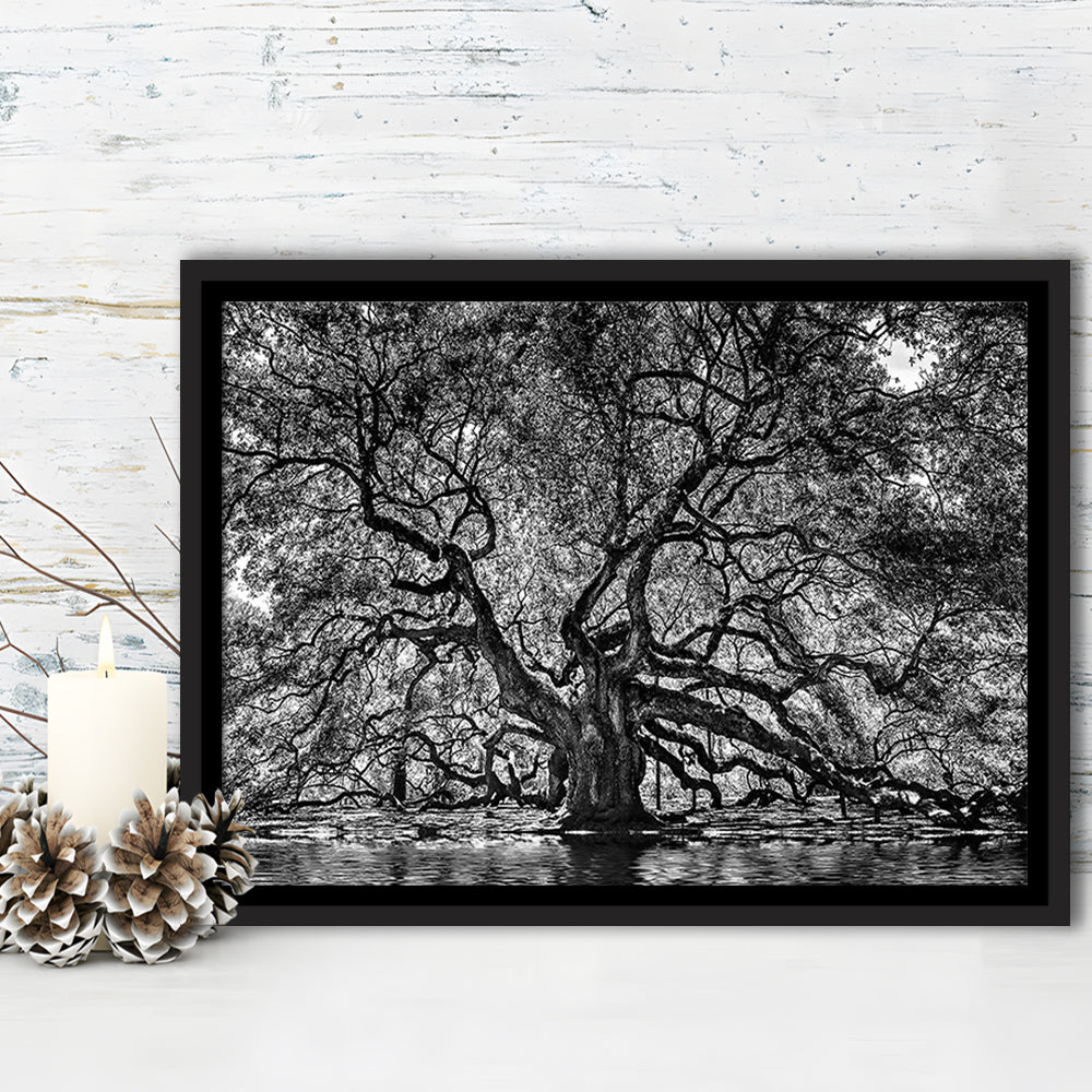 1000 Year Old Angel Oak Tree Canvas Print, Black And White Canvas, Framed Cavas Print, Floating Frame