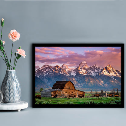 A Herd Of Buffalo Walk In Front Of Mormon Barn Jackson Wyoming, Framed Art Print, Picture Framed