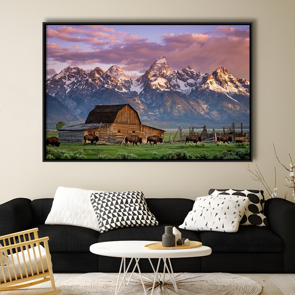 A Herd Of Buffalo Walk In Front Of Mormon Barn Jackson Wyoming, Framed Cavas Print, Floating Frame