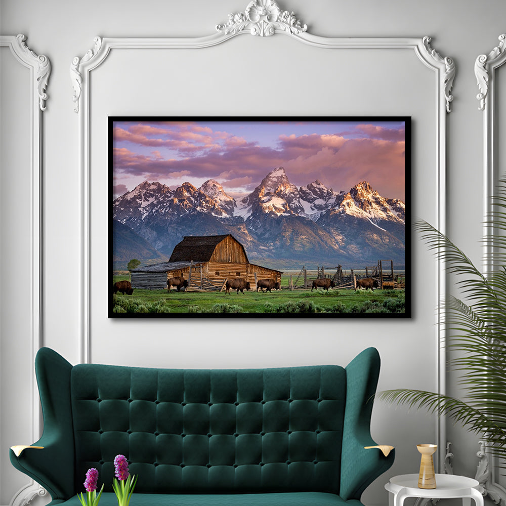 A Herd Of Buffalo Walk In Front Of Mormon Barn Jackson Wyoming, Framed Art Print, Picture Framed