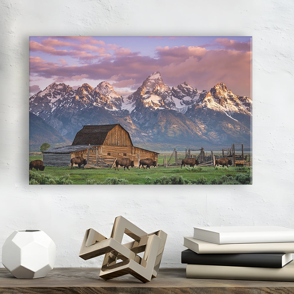 A Herd of Buffalo Walk In Front of Mormon Barn Jackson Wyoming, Cavas Print Wall Art Hom Decor