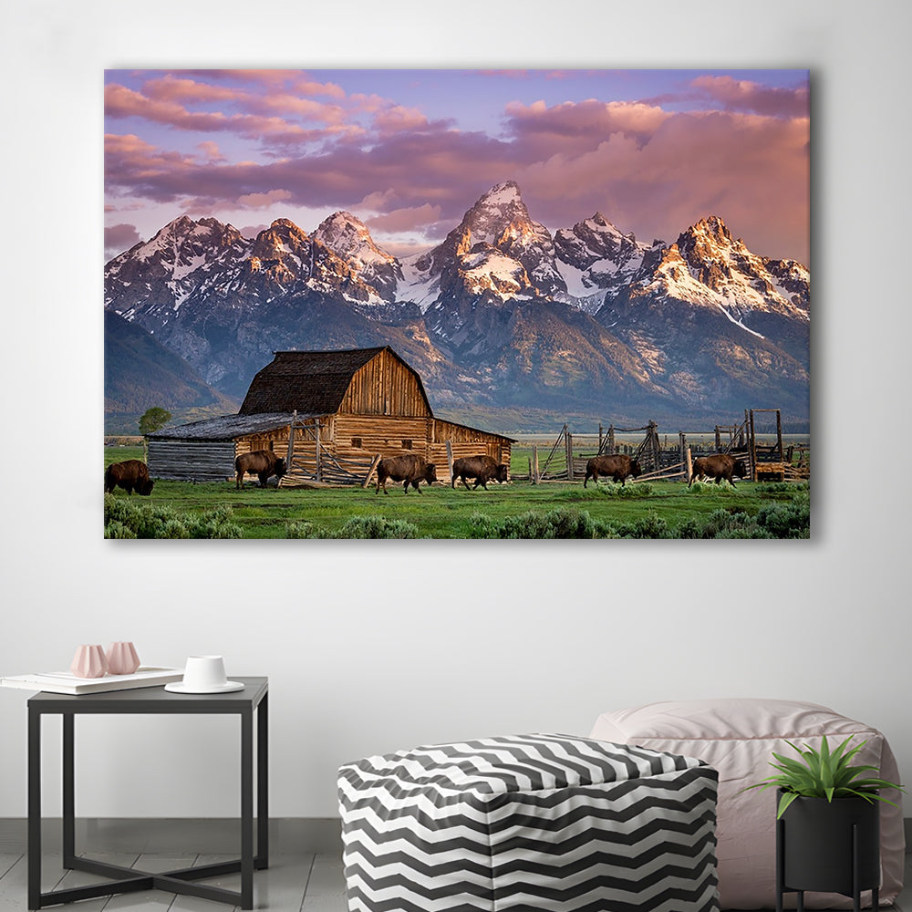 A Herd of Buffalo Walk In Front of Mormon Barn Jackson Wyoming, Cavas Print Wall Art Hom Decor