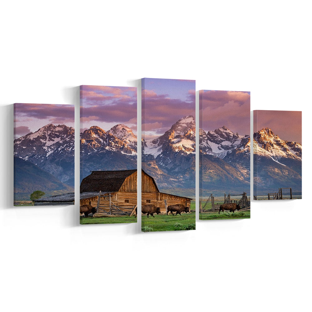A Herd of Buffalo Walk In Front of Mormon Barn Jackson Wyoming, 5 Piece Large Cavas Print Wall Art
