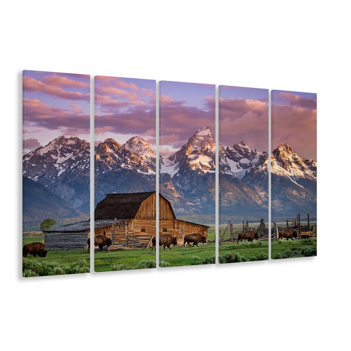A Herd of Buffalo Walk In Front of Mormon Barn Jackson Wyoming, 5 Piece B Extra Large Cavas Print Wall Art Decor
