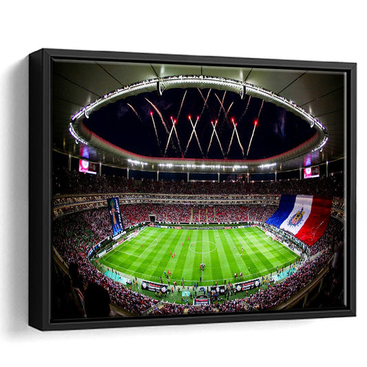 Akron Stadium, Stadium Canvas, Sport Art, Framed Canvas Print Wall Art, Floating Frame