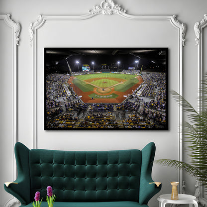 Alex Box Stadium in Louisiana, Stadium Canvas, Sport Art, Gift for him, Framed Art Print Wall Decor, Picture Framed