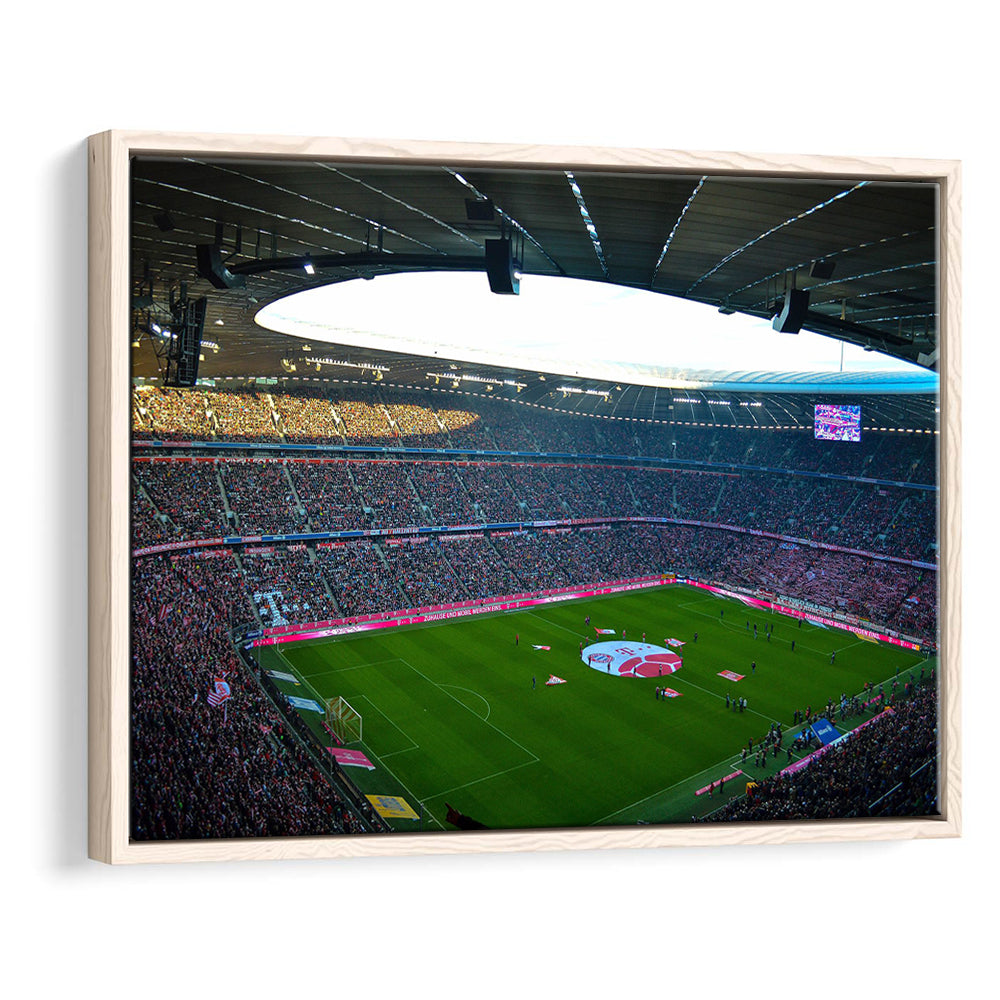 Allianz Arena Munich, Stadium Canvas, Sport Art, Framed Canvas Print Wall Art, Floating Frame
