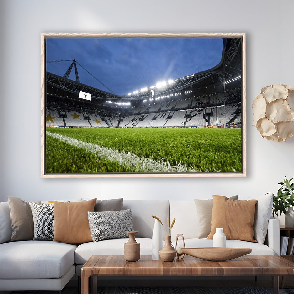 Allianz Stadium in Germany, Stadium Canvas, Sport Art, Framed Canvas Print Wall Art, Floating Frame