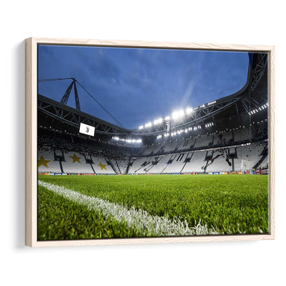 Allianz Stadium in Germany, Stadium Canvas, Sport Art, Framed Canvas Print Wall Art, Floating Frame