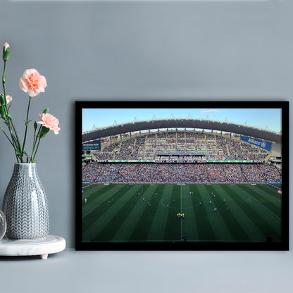 Allianz Stadium in Sydney, Stadium Canvas, Sport Art, Gift for him, Framed Art Print Wall Decor, Picture Framed