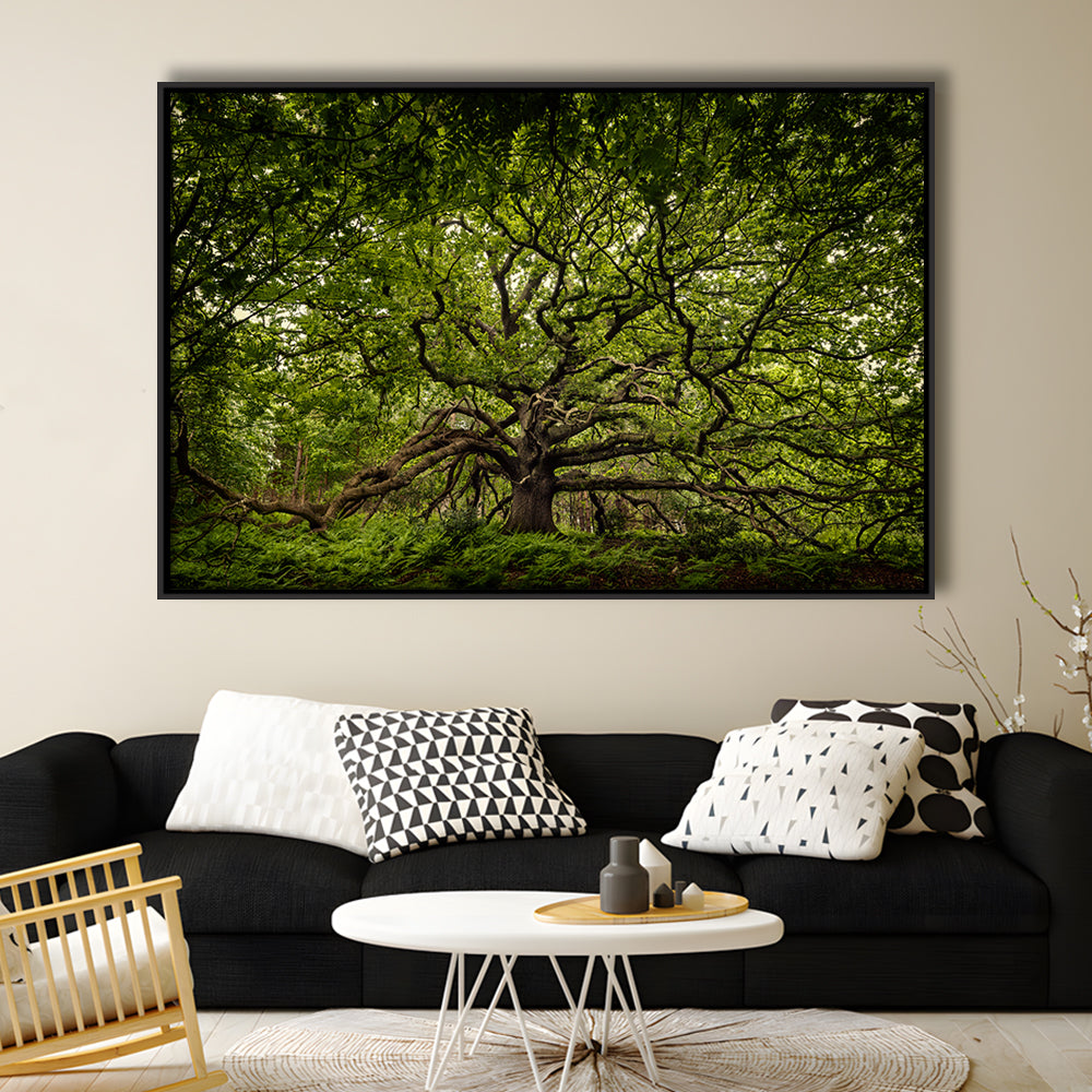 Ancient Oak Tree In Bayfield Estate, North Norfolk, Framed Cavas Print, Floating Frame