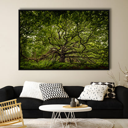 Ancient Oak Tree In Bayfield Estate, North Norfolk, Framed Cavas Print, Floating Frame