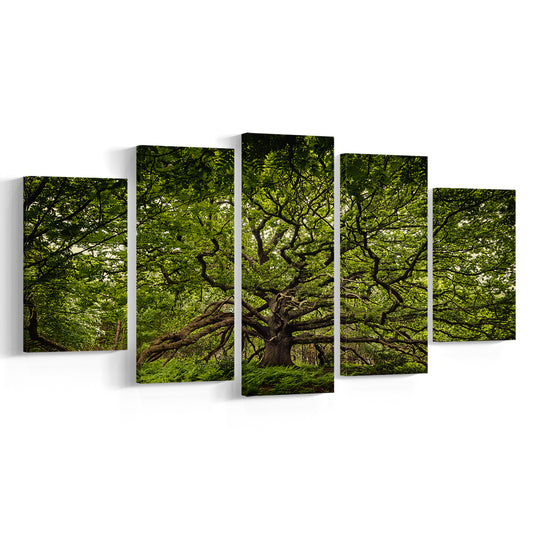 Ancient oak tree in Bayfield Estate, North Norfolk, 5 Piece Large Cavas Print Wall Art