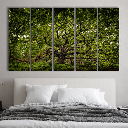 Ancient oak tree in Bayfield Estate, North Norfolk, 5 Piece B Extra Large Cavas Print Wall Art Decor