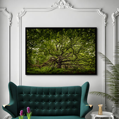 Ancient Oak Tree In Bayfield Estate, North Norfolk, Framed Art Print, Picture Framed