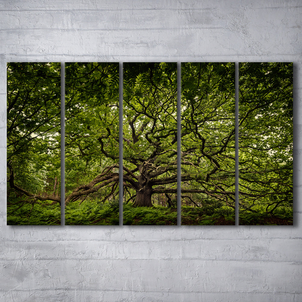 Ancient oak tree in Bayfield Estate, North Norfolk, 5 Piece B Extra Large Cavas Print Wall Art Decor