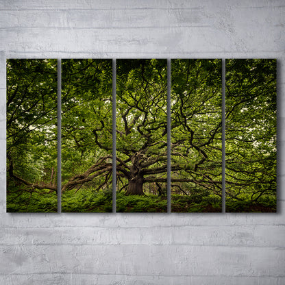 Ancient oak tree in Bayfield Estate, North Norfolk, 5 Piece B Extra Large Cavas Print Wall Art Decor