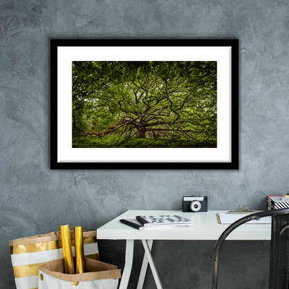 Ancient Oak Tree In Bayfield Estate, North Norfolk, Framed Art Print White Border