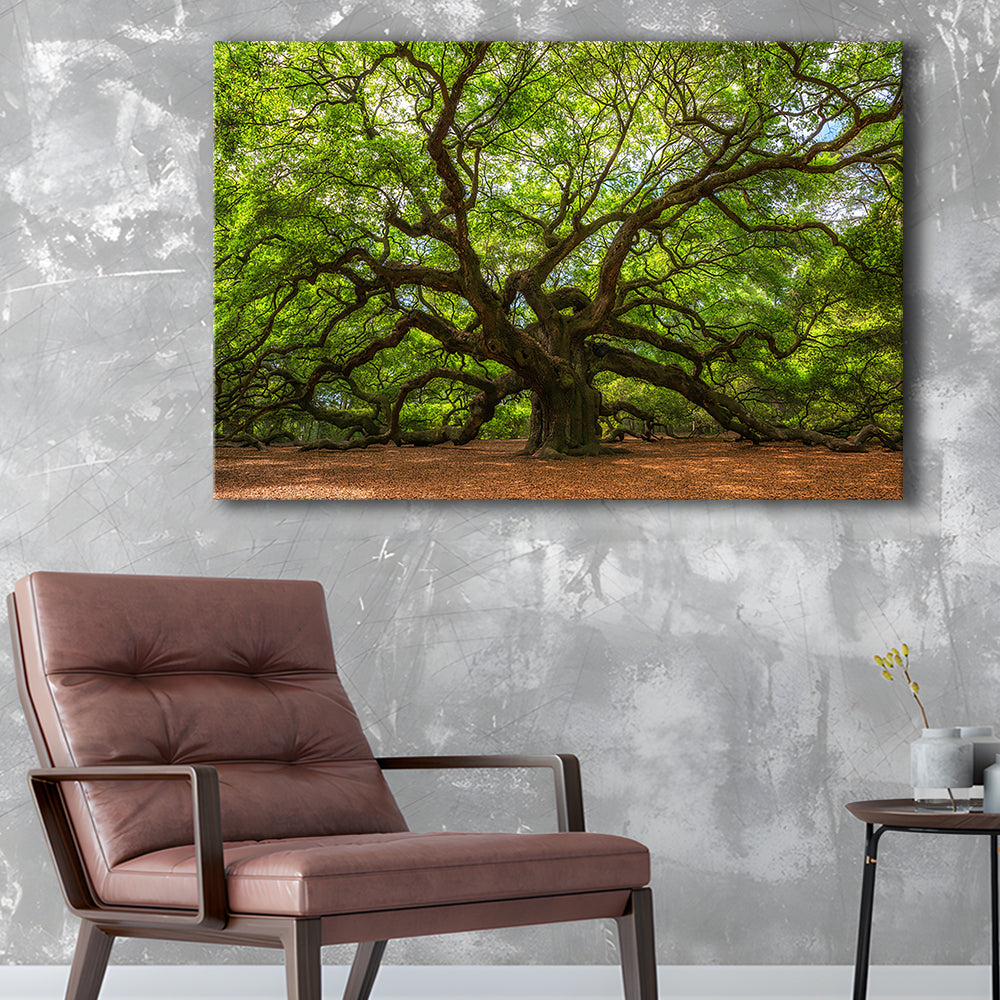 Angle Oak Tree in Johns Island, South Carolina, Cavas Print Wall Art Hom Decor