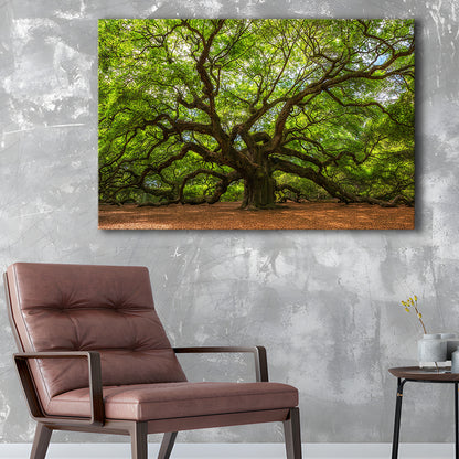 Angle Oak Tree in Johns Island, South Carolina, Cavas Print Wall Art Hom Decor