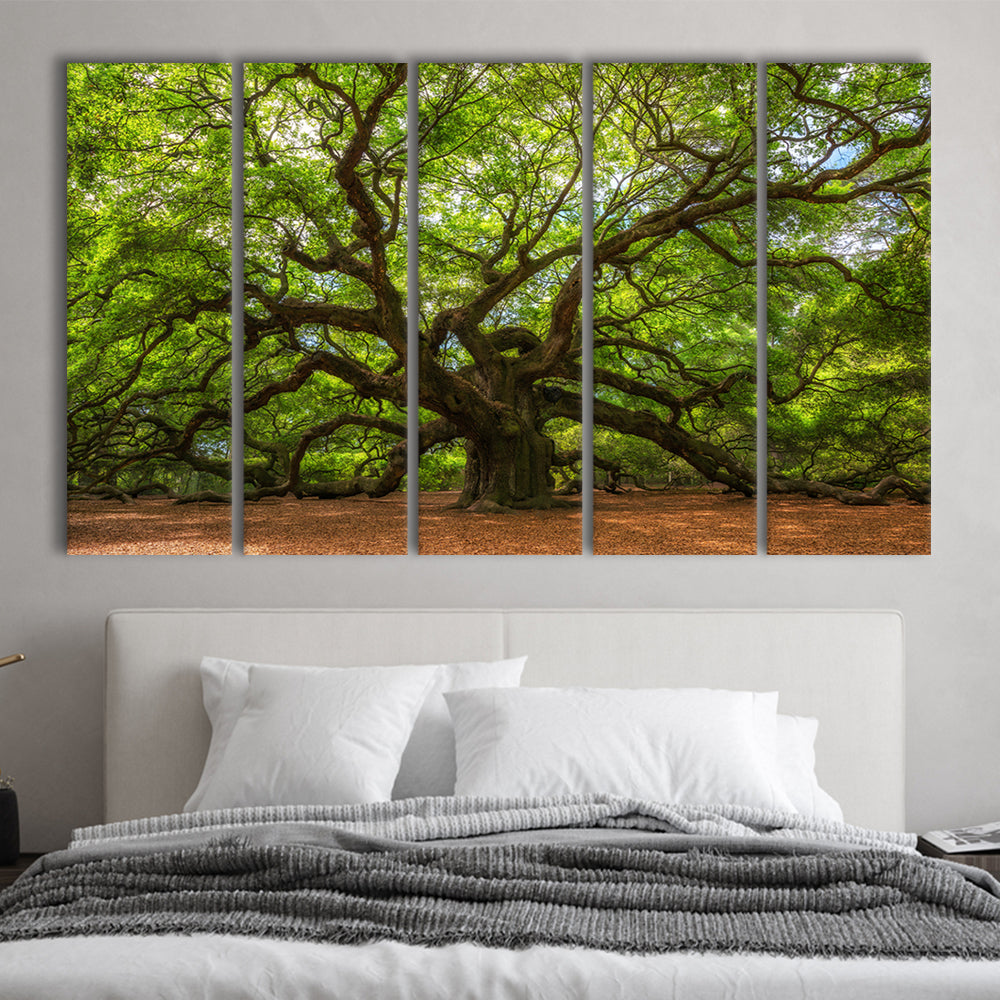Angle Oak Tree in Johns Island, South Carolina, 5 Piece B Extra Large Cavas Print Wall Art Decor