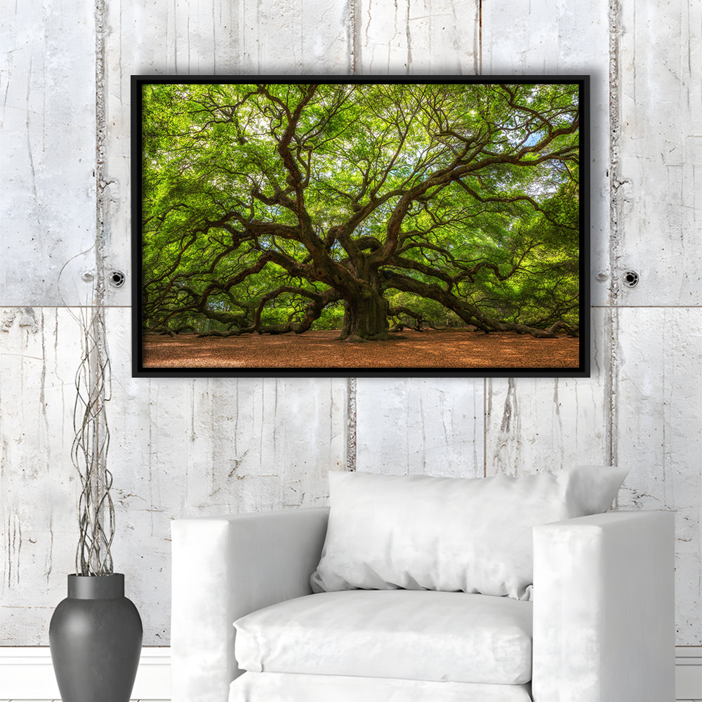 Angle Oak Tree In Johns Island, South Carolina, Framed Cavas Print, Floating Frame