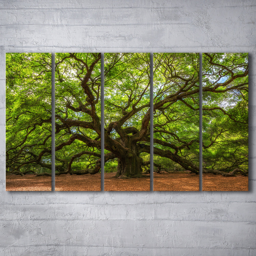Angle Oak Tree in Johns Island, South Carolina, 5 Piece B Extra Large Cavas Print Wall Art Decor