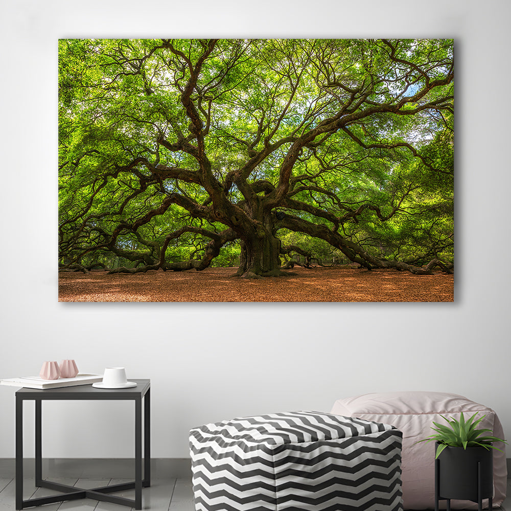 Angle Oak Tree in Johns Island, South Carolina, Cavas Print Wall Art Hom Decor