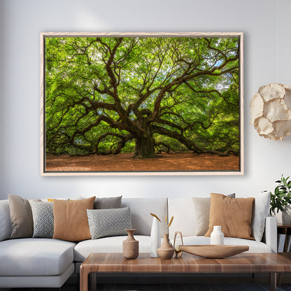 Angle Oak Tree In Johns Island, South Carolina, Framed Cavas Print, Floating Frame