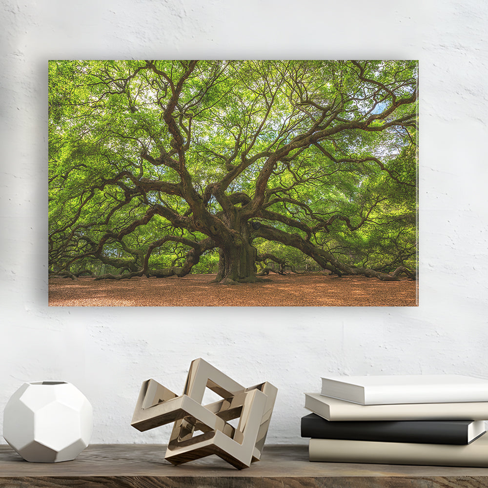 Angle Oak Tree in Johns Island, South Carolina, Cavas Print Wall Art Hom Decor