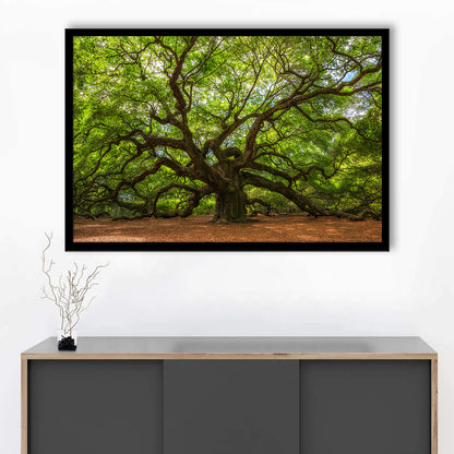 Angle Oak Tree In Johns Island, South Carolina, Framed Art Print, Picture Framed