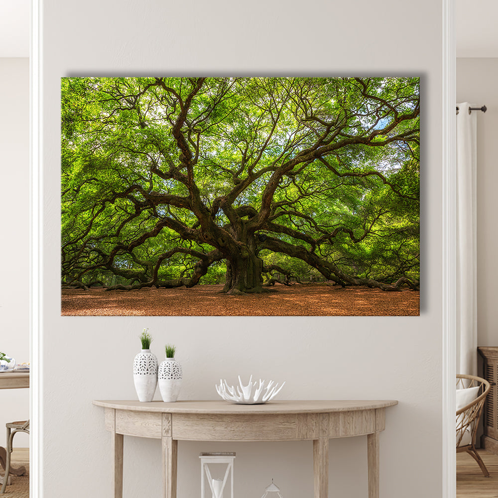 Angle Oak Tree in Johns Island, South Carolina, Cavas Print Wall Art Hom Decor