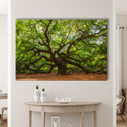 Angle Oak Tree in Johns Island, South Carolina, Cavas Print Wall Art Hom Decor