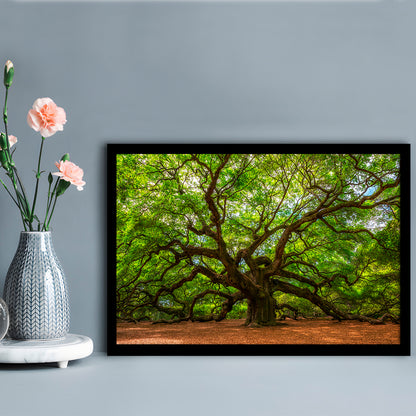 Angle Oak Tree In Johns Island, South Carolina, Framed Art Print, Picture Framed