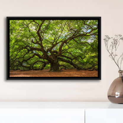 Angle Oak Tree In Johns Island, South Carolina, Framed Cavas Print, Floating Frame